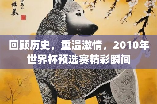 回顾历史，重温激情，2010年世界杯预选赛精彩瞬间