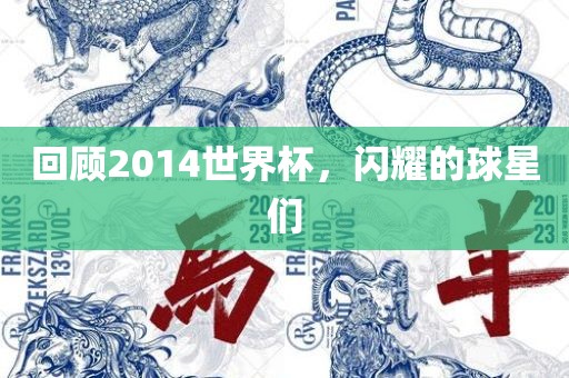 回顾2014世界杯，闪耀的球星们