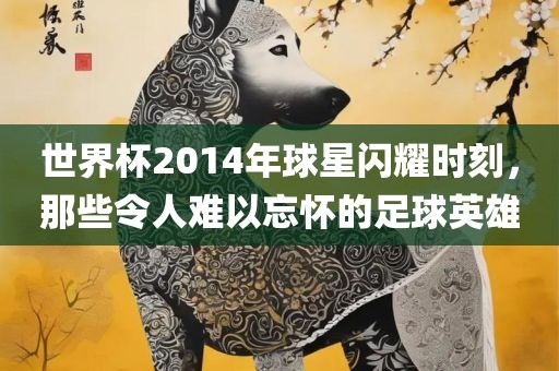 世界杯2014年球星闪耀时刻，那些令人难以忘怀的足球英雄