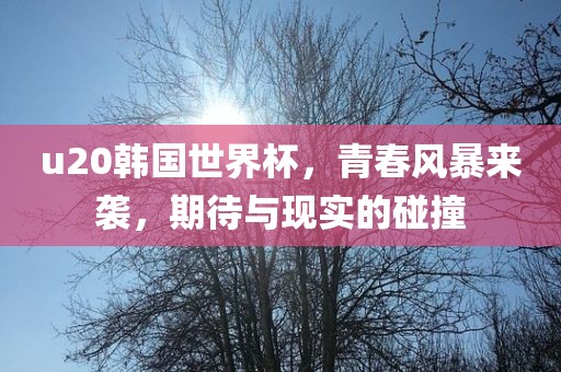 u20韩国世界杯，青春风暴来袭，期待与现实的碰撞