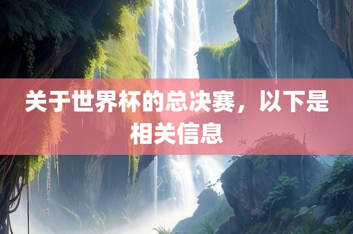 关于世界杯的总决赛，以下是相关信息