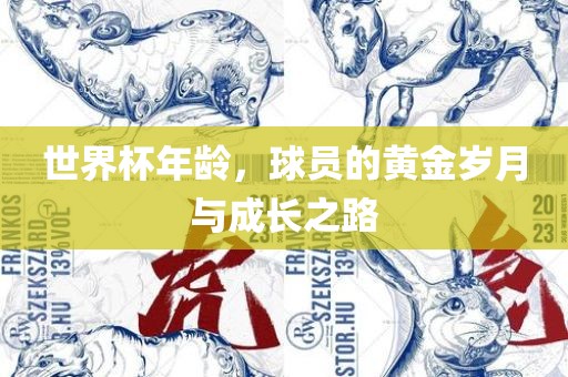 世界杯年龄，球员的黄金岁月与成长之路