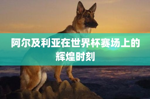 阿尔及利亚在世界杯赛场上的辉煌时刻