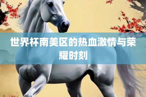 世界杯南美区的热血激情与荣耀时刻