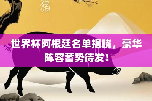 世界杯阿根廷名单揭晓，豪华阵容蓄势待发！