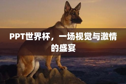 PPT世界杯，一场视觉与激情的盛宴