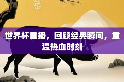 世界杯重播，回顾经典瞬间，重温热血时刻