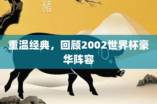重温经典，回顾2002世界杯豪华阵容