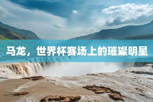 马龙，世界杯赛场上的璀璨明星