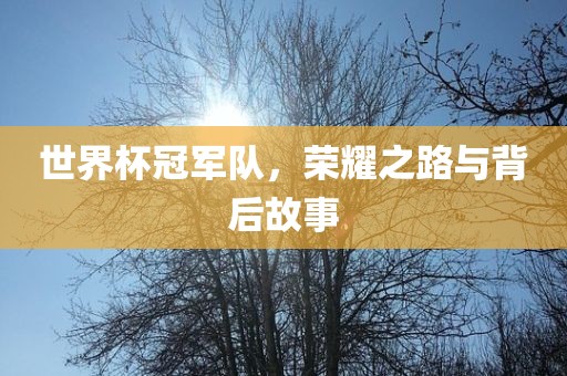 世界杯冠军队，荣耀之路与背后故事