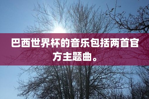 巴西世界杯的音乐包括两首官方主题曲。