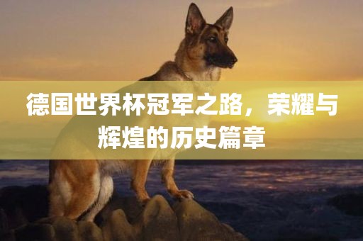 德国世界杯冠军之路，荣耀与辉煌的历史篇章