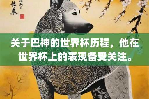 关于巴神的世界杯历程，他在世界杯上的表现备受关注。