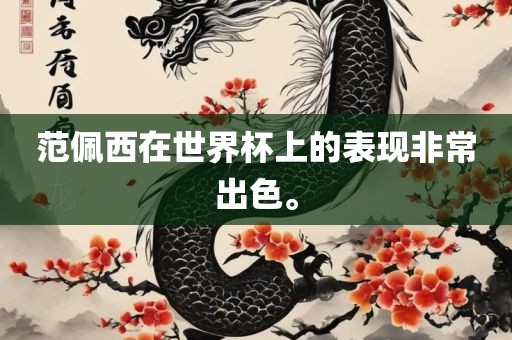 范佩西在世界杯上的表现非常出色。