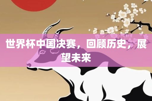 世界杯中国决赛，回顾历史，展望未来