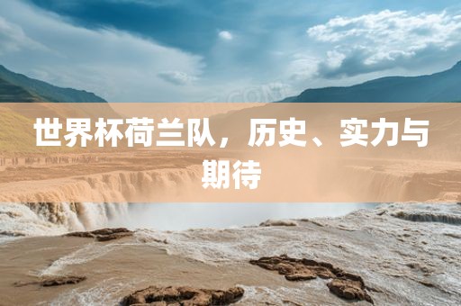 世界杯荷兰队，历史、实力与期待