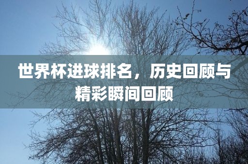 世界杯进球排名，历史回顾与精彩瞬间回顾