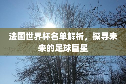 法国世界杯名单解析，探寻未来的足球巨星