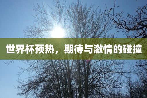 世界杯预热，期待与激情的碰撞