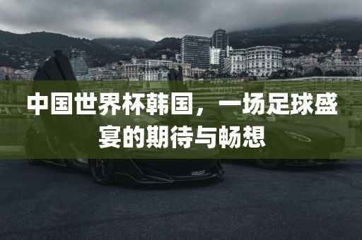 中国世界杯韩国，一场足球盛宴的期待与畅想吉安市靖泰电力工程有限公司