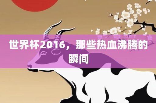 世界杯2016，那些热血沸腾的瞬间