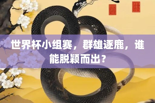 世界杯小组赛，群雄逐鹿，谁能脱颖而出？