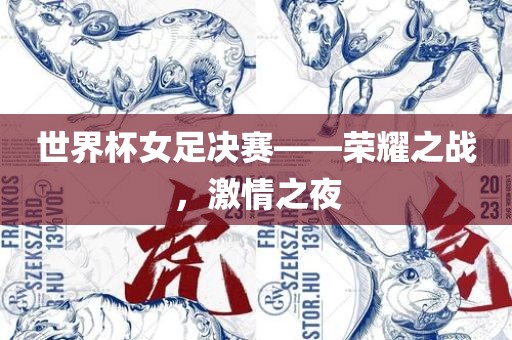 世界杯女足决赛——荣耀之战，激情之夜吉安市靖泰电力工程有限公司