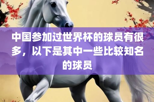 中国参加过世界杯的球员有很多，以下是其中一些比较知名的球员