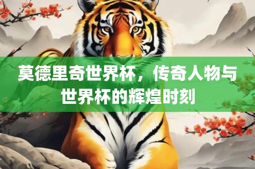 莫德里奇世界杯，传奇人物与世界杯的辉煌时刻