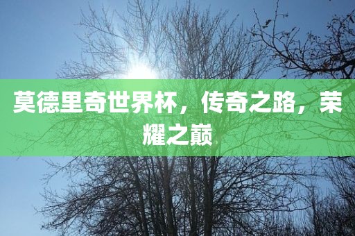 莫德里奇世界杯，传奇之路，荣耀之巅