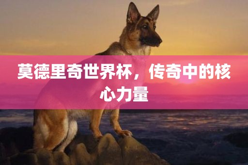 莫德里奇世界杯，传奇中的核心力量