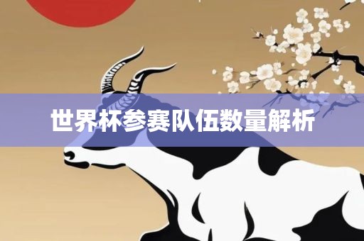 世界杯参赛队伍数量