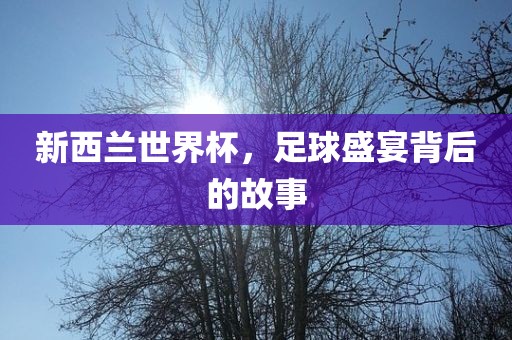 新西兰世界杯，足球盛宴背后的故事