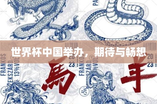 世界杯中国举办，期待与畅想