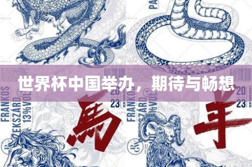 世界杯中国举办，期待与畅想