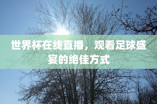 世界杯在线直播，观看足球盛宴的绝佳方式