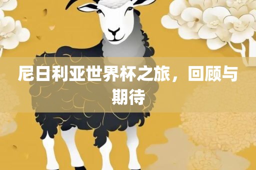 尼日利亚世界杯之旅，回顾与期待吉安市靖泰电力工程有限公司