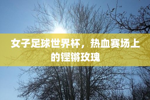 女子足球世界杯，热血赛场上的铿锵玫瑰