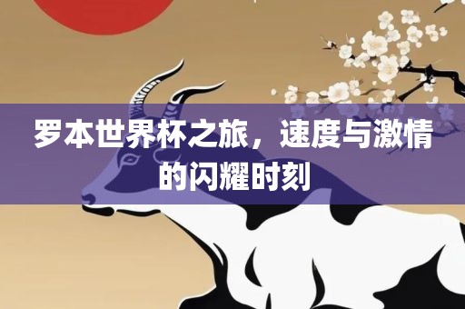 罗本世界杯之旅，速度与激情的闪耀时刻