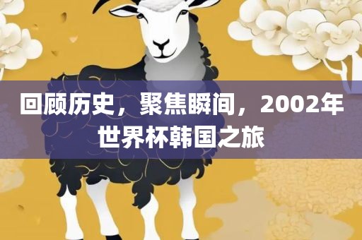 回顾历史，聚焦瞬间，2002年世界杯吉安市靖泰电力工程有限公司韩国之旅