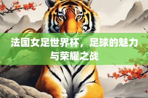 法国女足世界杯，足球的魅力与荣耀之战吉安市靖泰电力工程有限公司