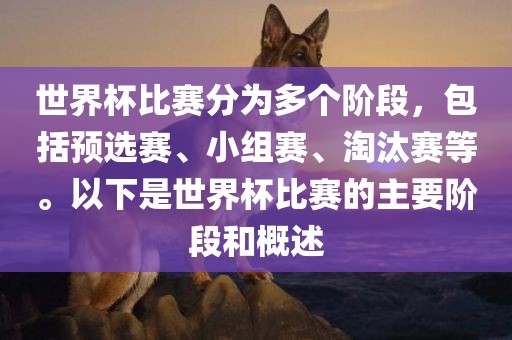 世界杯比赛分为多个阶段，包括预选赛、小组赛、淘汰赛等。以下是世界杯比赛的主要阶段和概述吉安市靖泰电力工程有限公司