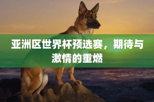 亚洲区世界杯预选赛，期待与激情的重燃