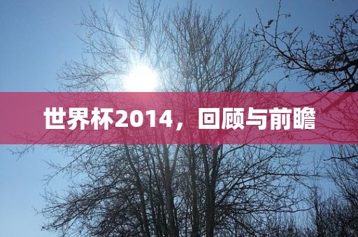 世界杯2014，回顾与前瞻