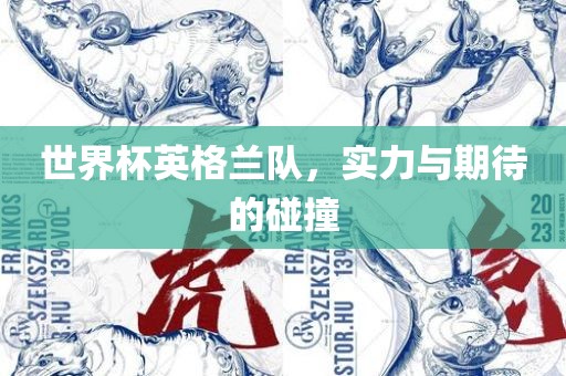 世界杯英格兰队，实力与期待的碰撞