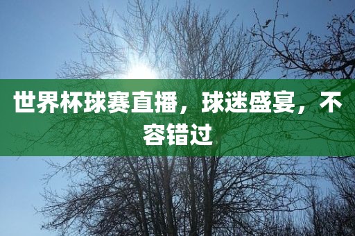 世界杯球赛直播，球迷盛宴，不容错过吉安市靖泰电力工程有限公司