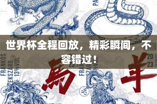世界杯全程回放，精彩瞬间，不容错过！