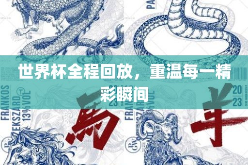 世界杯全程回放，重温每一精彩瞬间