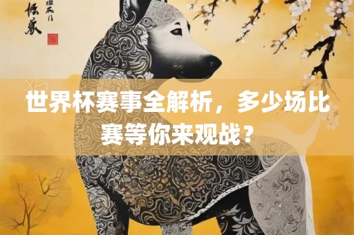 世界杯赛事全解析，多少场比赛等你来观战？