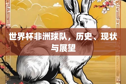世界杯非洲球队，历史、现状与展望